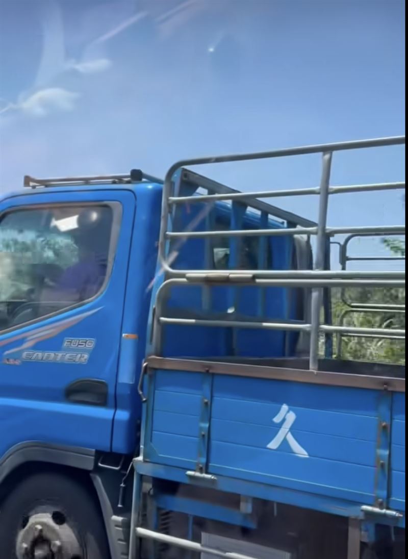小貨車駕駛在國道邊開車邊打手遊。（圖／翻攝自《爆料公社公開版》）