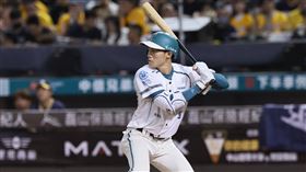 台鋼雄鷹林家鋐。（圖／台鋼雄鷹提供） 