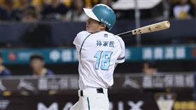 台鋼雄鷹林家鋐。（圖／台鋼雄鷹提供） 