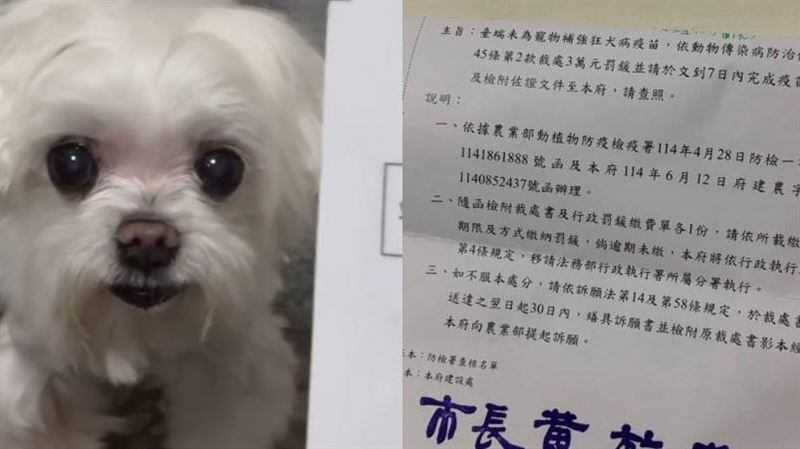 她養狗突收3萬罰單　「少1動作」恐遭開罰