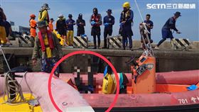 海巡,屏東縣,東港鎮,屏東,家屬,釣客,警方,落海,失蹤,海釣圖片描述。（圖／翻攝畫面）