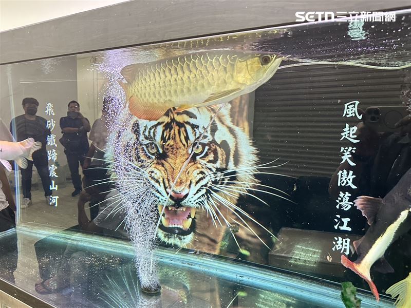 風飛砂風北會在柬埔寨成立詐騙機房，竹檢今起訴27人並發布通緝。（圖／翻攝畫面）