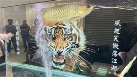 風飛砂,風北會,中國人,詐騙,老虎機房（圖／翻攝畫面）