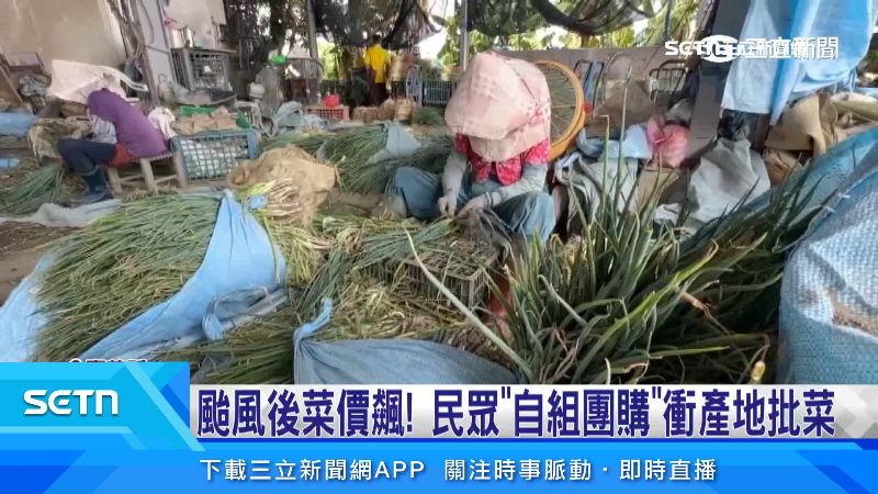 嘉義種青蔥的農友，感念滯銷時里長的幫忙銷貨，這回用成本價，要讓朴子居民買便宜