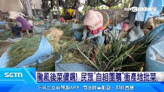 颱風後菜價漲！民眾「自組團購」省荷包