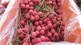 不合格產品「桂味荔枝」照片。（圖／新北衛生局提供）