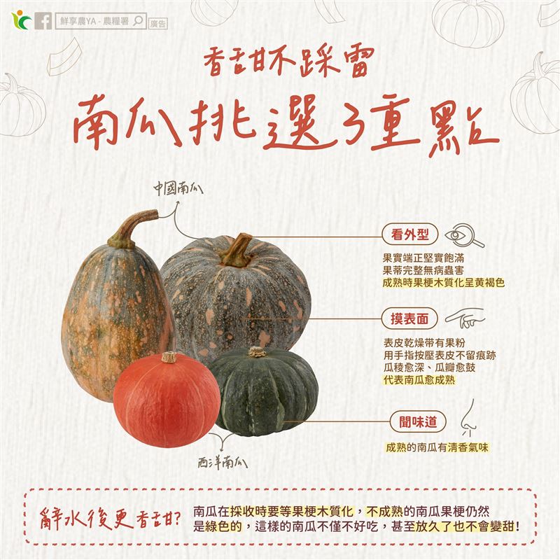 挑選南瓜3撇步。(圖/翻攝自「鮮享農YA - 農糧署」臉書)