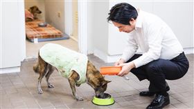 總統賴清德在臉書分享與愛犬「斑斑」的互動照。（圖／翻攝自賴清德臉書）