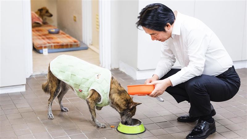 國際狗狗日曬愛犬 賴清德:動保不分國界