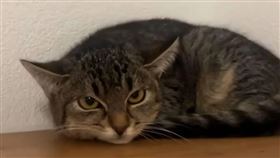 圖片描述。（圖／翻攝自微博）