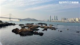 釜山旅遊。（圖／記者朱祖儀攝影）