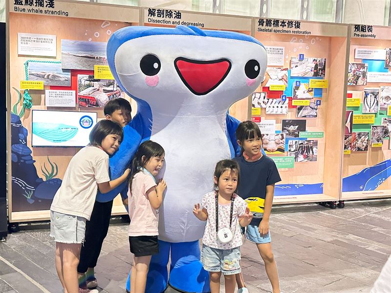 深受小朋友喜愛的人氣新寵鯊寶。（圖／屏東海生館提供）