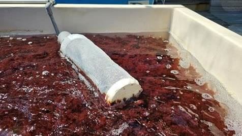 全球第8！台灣「1技術」搶進40億美元市場