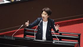 陳亭妃呼籲在野黨不要完全杯葛追加預算，並指出此次追加的每一項都是行政團隊傾聽民意的結果。（圖／翻攝自陳亭妃臉書）