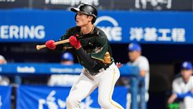 台鋼雄鷹王博玄。（圖／台鋼雄鷹提供） 