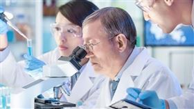 路迦憑藉適用於實體癌症應用的免疫「LuLym-T細胞治療技術」的領先佈局，有望為公司的臨床推進開啟黃金時代，挹注未來營運成長動能。（圖／翻攝自路迦生醫官網）