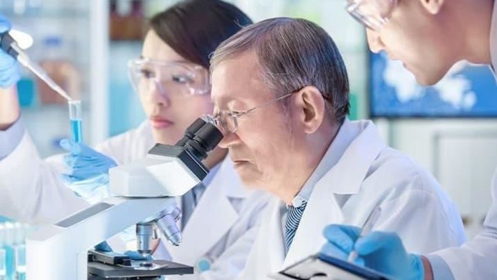路迦憑藉適用於實體癌症應用的免疫「LuLym-T細胞治療技術」的領先佈局,有望為公司的臨床推進開啟黃金時代,挹注未來營運成長動能。(圖/翻攝自路迦生醫官網)