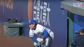 張育成意外踏入場外死球區。（圖／翻攝自CPBLTV）