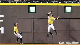 中職36年例行賽，樂天桃猿指定打擊林泓育敲出中外野深遠飛球，岳政華在全壘打牆前美技接殺。（圖／記者劉彥池攝影）