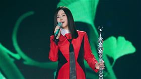 江蕙在台北小巨蛋開唱。（圖／寬宏藝術提供）