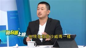 立法院榮譽顧問陳柏惟。（圖／翻攝自新台派上線）