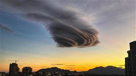 （圖／翻攝自林口大家庭）