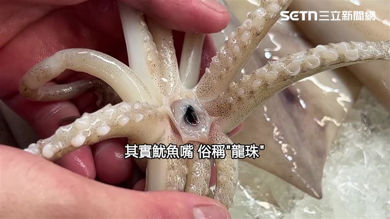 魷魚嘴俗稱「龍珠」，煮羹或油炸都很好吃
