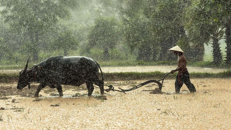 她每天存10元成富婆！秘訣是窮農夫爸教的