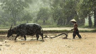 她每天存10元成富婆！秘訣是窮農夫爸教的