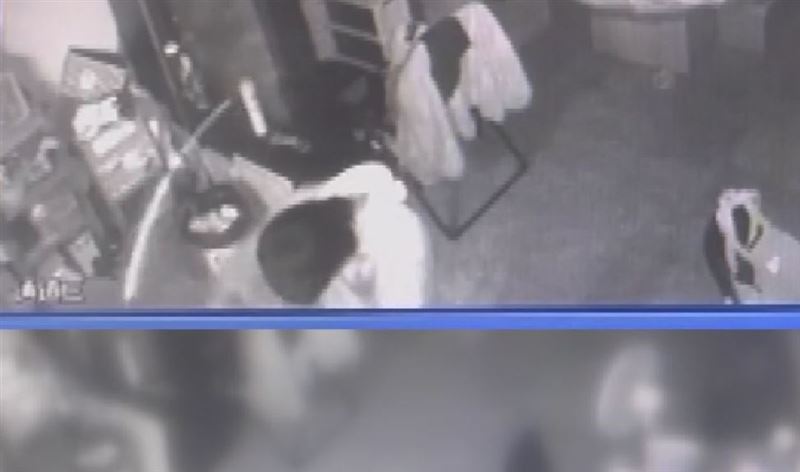 竊嫌偷錢不忘要拜拜