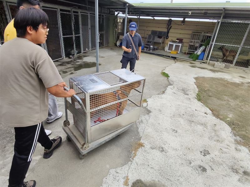 動保處派員把Luck昨天已被送至雲林。（圖／翻攝畫面）