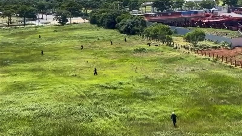 移民署抓捕逃逸移工的情形。（圖／翻攝畫面）