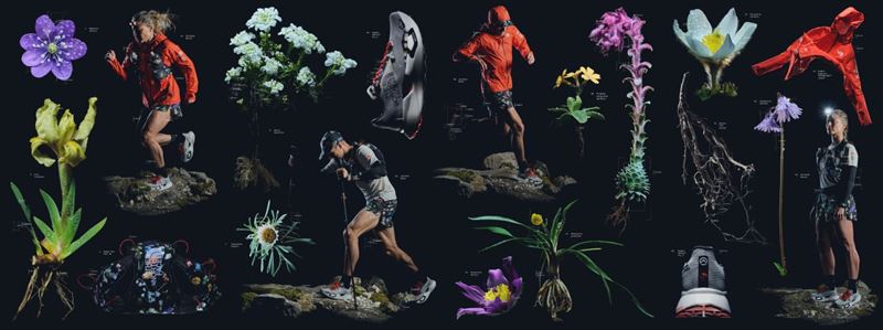 The North Face全新Summit Series巔峰系列Flora Alpina特殊款。(圖/品牌業者提供)