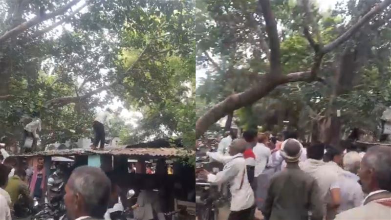 印度一名教師的包包被猴子搶走。（圖／翻攝自X平台@RahulTh63323279）