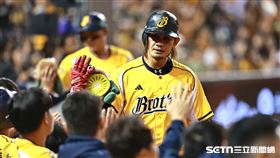 中職36年例行賽，中信兄弟游擊手江坤宇安打送回張志豪、許基宏。（圖／記者劉彥池攝影）