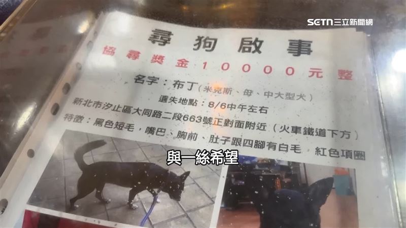 廟內供桌前放了整本「尋犬啟示」