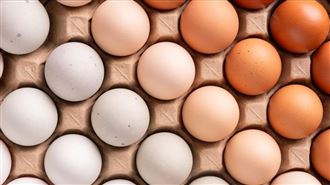一天能吃幾顆蛋？醫揭「驚人數字」！