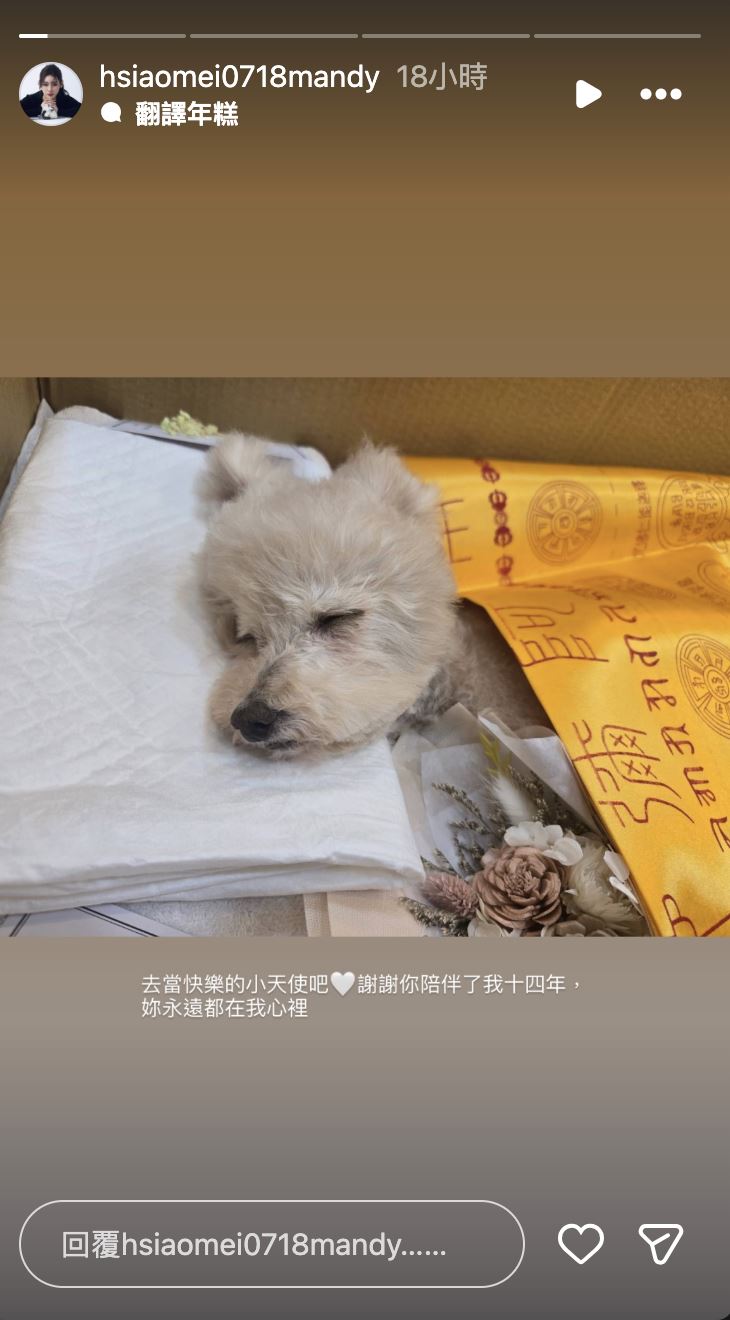馬筱梅表示養了14年的愛犬過世。（圖／翻攝自IG）