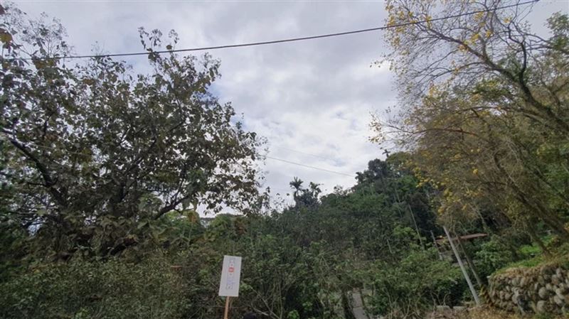 位於草屯的三分半農地，二拍底價僅600萬元。（圖／翻攝畫面）