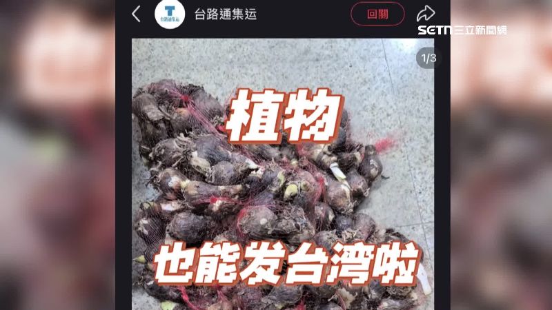 中國集運業者在社群上打廣告