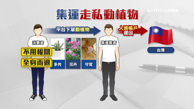 集運走私過程