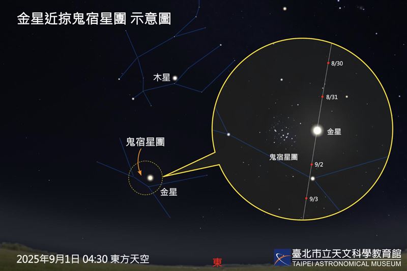 金星與鬼宿星團將一同由東北方升起，兩者相距僅約1度。（圖／台北天文館）