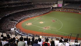 中職36年例行賽，味全龍「hololive night」主題日第2天，吸引34142人進場。（圖／記者劉彥池攝影）