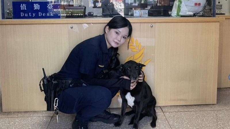 萬華分局西園路派出所正妹女警。（圖／翻攝畫面）