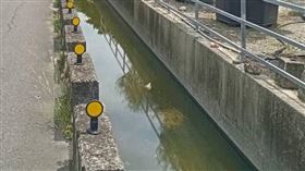 快訊／台中烏日驚見浮屍！藍衣伯「水溝裡漂浮」　家屬急奔現場認屍