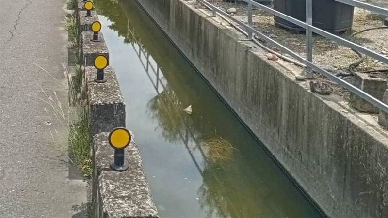 新／台中藍衣伯「水溝漂浮」家屬悲痛認屍