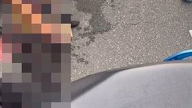 台北市南港區近日發生一起虐狗致死事件！（圖／翻攝自記者爆料網）