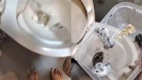 （圖／翻攝自Threads）