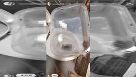  殘忍！女子將10隻小倉鼠，丟馬桶直接沖掉，虐待動度，PO網炫耀（圖／翻攝自Thread @taifang0516）