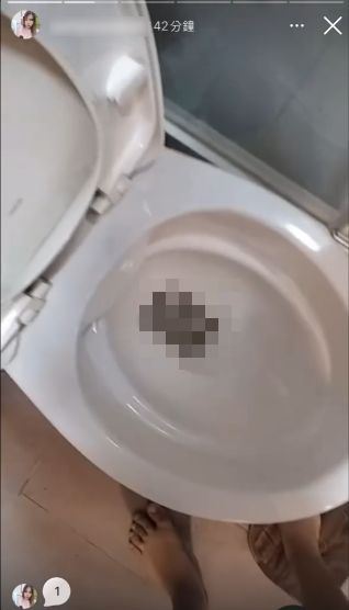 女子將10隻小倉鼠，分批丟入馬桶沖走，事後竟將影片上傳IG炫耀。（圖／翻攝自Thread @taifang0516）
